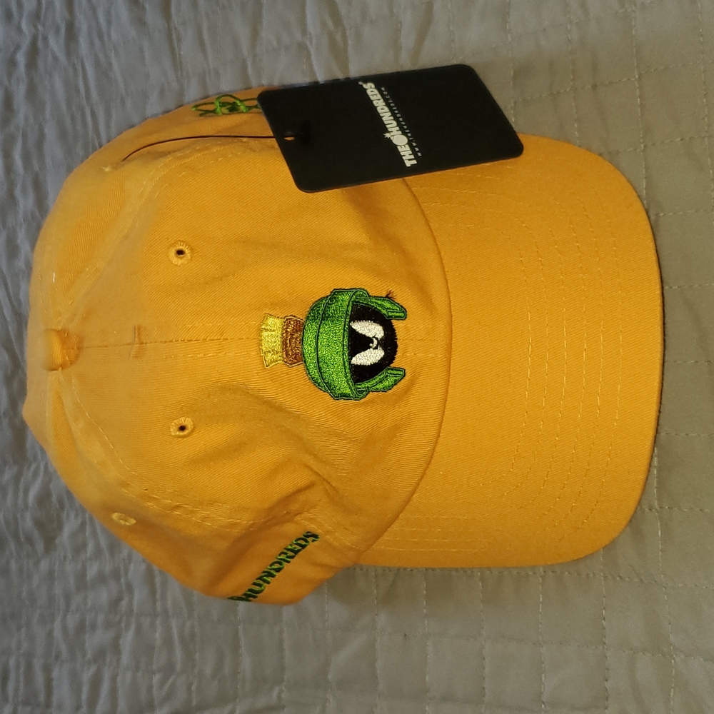 Marvin the Martian X The Hundreds cap